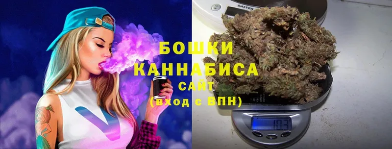 как найти наркотики  Верхняя Пышма  Бошки Шишки SATIVA & INDICA 